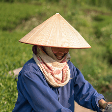 Khách hàng Dola Dong